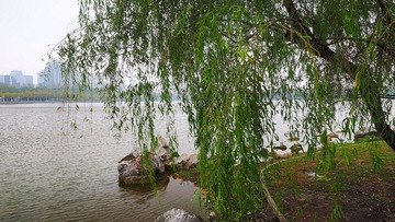 PA270014_HZP