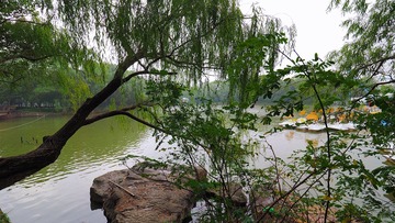 PA270080_HZP