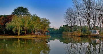 P1012826