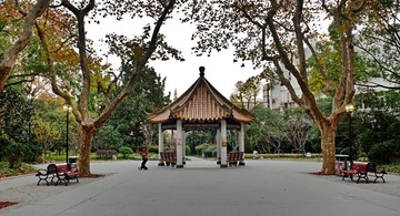 P1012879