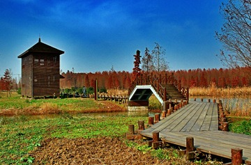 P1012919