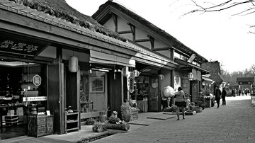 P1013329