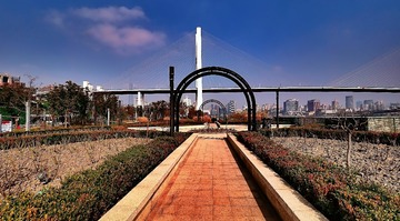 P1016710