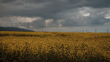 2505780