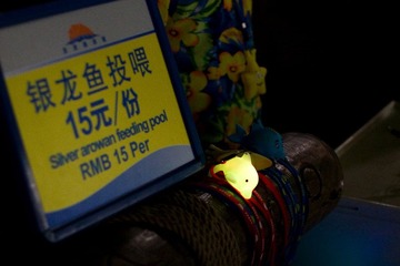 摊贩