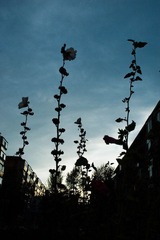 InToTheSky@20080908