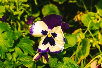 001