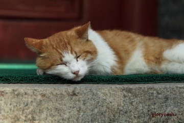 IMG_6480_resize.JPG