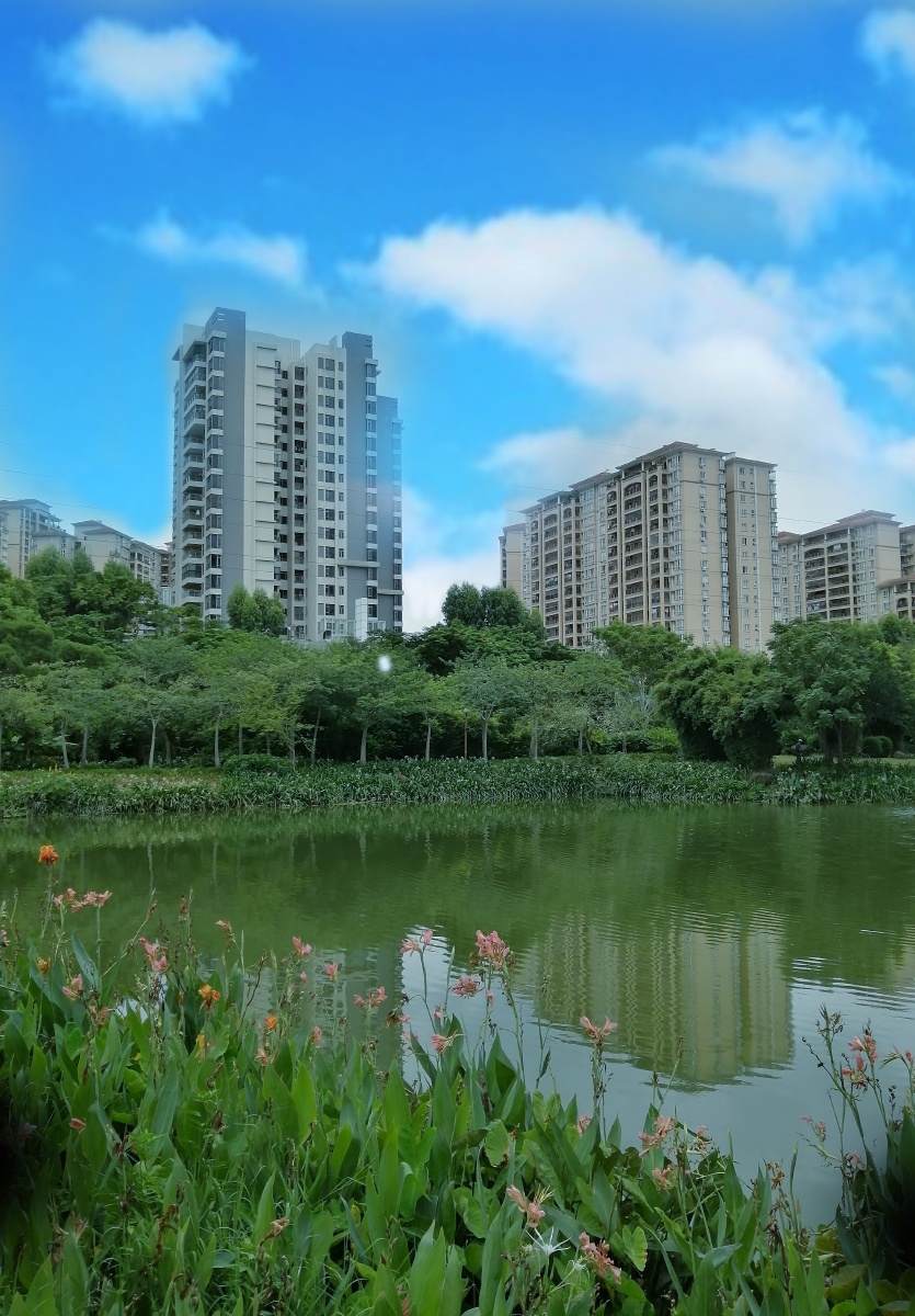 创作者156371140026900