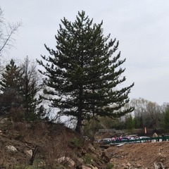 1804584