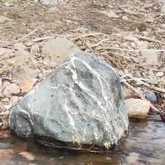 1804788