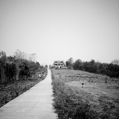 a16