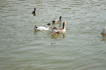 E0F87D0D-42B4-404B-9DA6-7CC1C227DDD1/L0/001