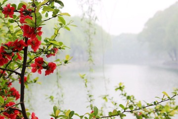 红