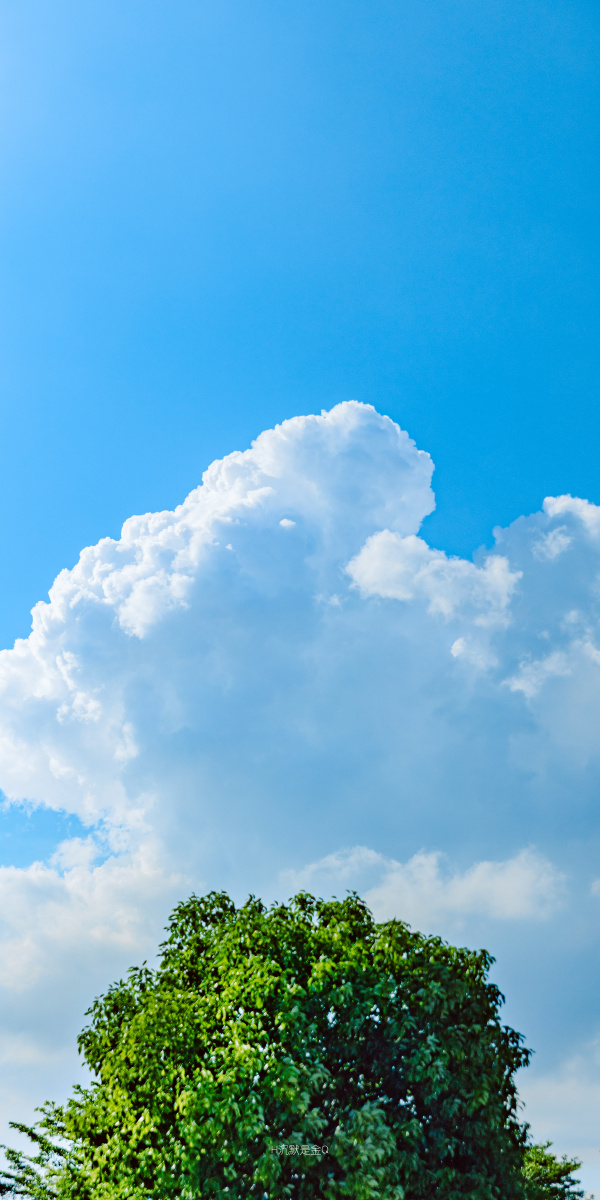 夏天的云78