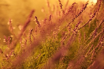 C40216B9-B9C9-4855-9845-85561C56757D/L0/001