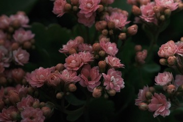 DD3B3D29-6AA5-4313-8FEB-8BCAF72C88FF/L0/001