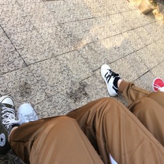 293167