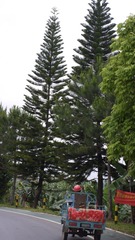 4D570BD5-F216-4497-A279-0BE62ECAA8BD/L0/001