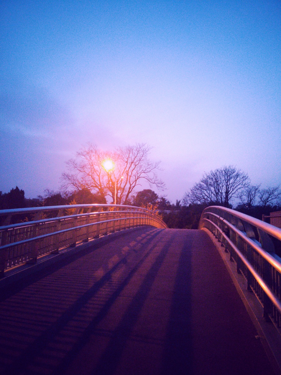 拍摄于北京白石桥