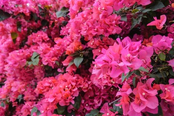 B2724E1E-F68E-41C6-8624-C105C3A71078/L0/001