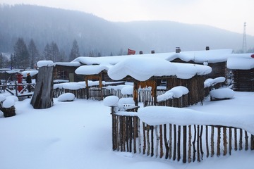 DSC00838_