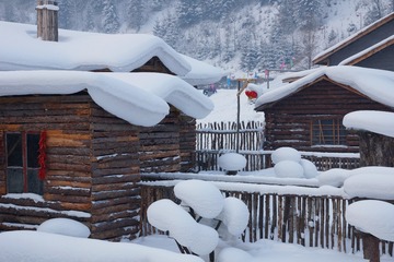 DSC00871_