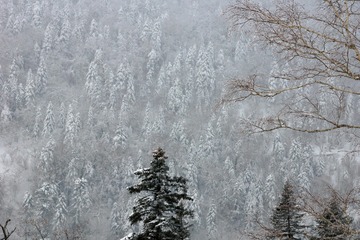 DSC00940_