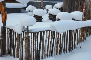 DSC00790_