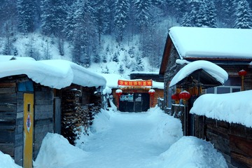DSC00544_