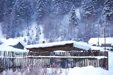 DSC00503_
