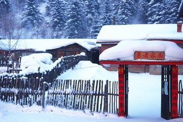 DSC00499_
