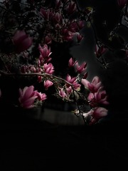 3CDB5D64-8499-46BF-B0F1-1818541B8BB3/L0/001
