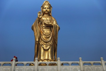 普陀山27