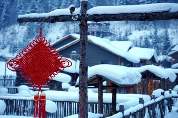 DSC00528_