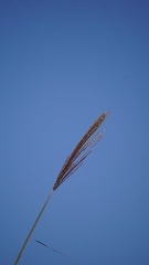 E11D6416-0EC4-4AE7-9B14-D9A3649E42AF/L0/001