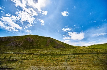_DSC7449