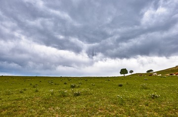 _DSC7517
