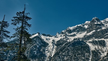 _DSC7337 1