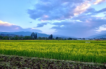 _DSC7087