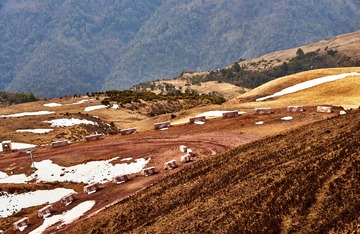 _DSC6984