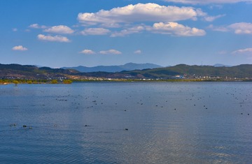 _DSC6823