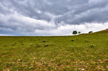 _DSC7516