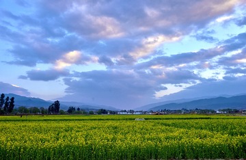 _DSC7084 1
