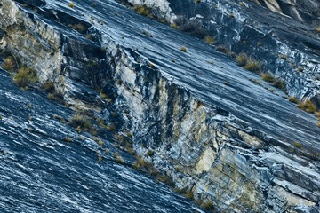 _DSC7531