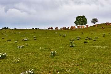 _DSC7521