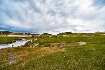 _DSC7474