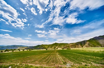 _DSC7434