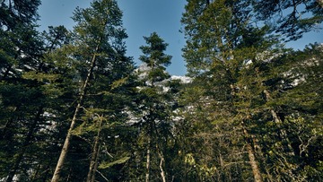 _DSC7359 1