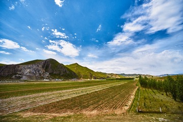 _DSC7444